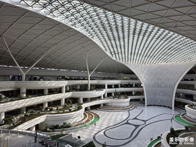 【靓影迎春】+春节快乐