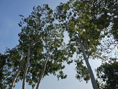 【靓影迎春】春近了