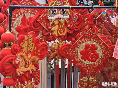 【靓影迎春】节前走走