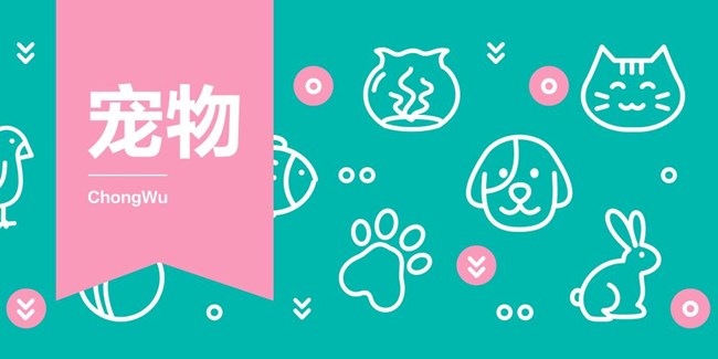 2026年盖乐世社区版块活动2月第三周