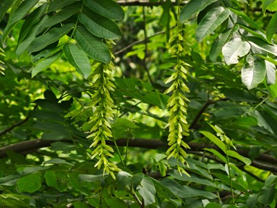 【靓影迎春】春之气息