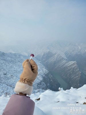 【靓影迎春】+ 雪景