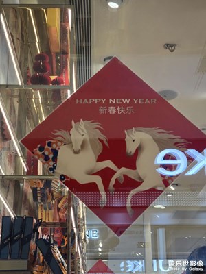 【靓影迎春】回家过年