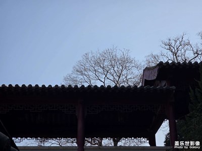 【靓影迎春】清澈的天空