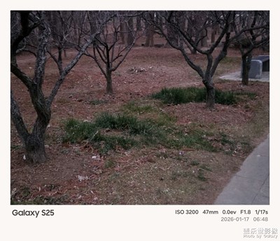 【靓影迎春】清晨