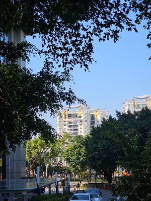 【靓影迎春】街巷日常