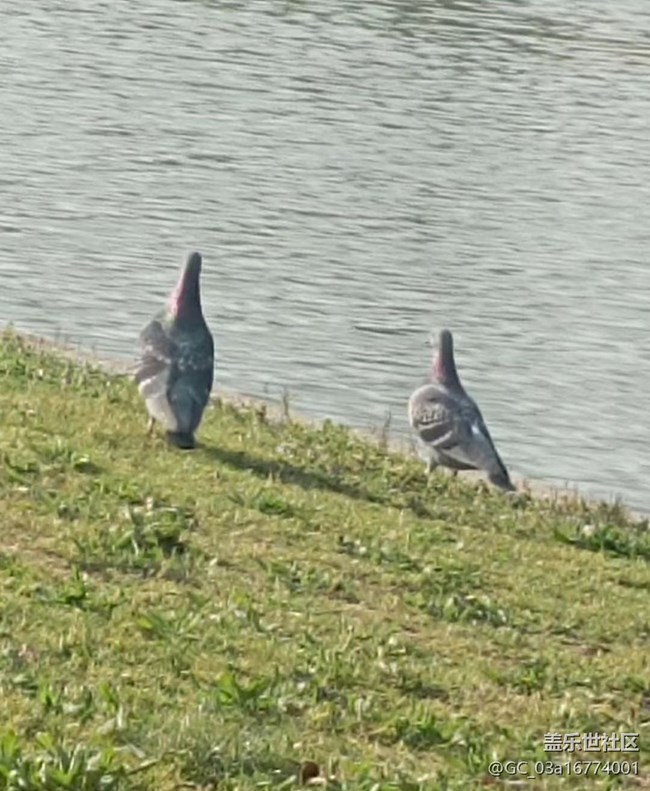 【春节去哪儿】看风景