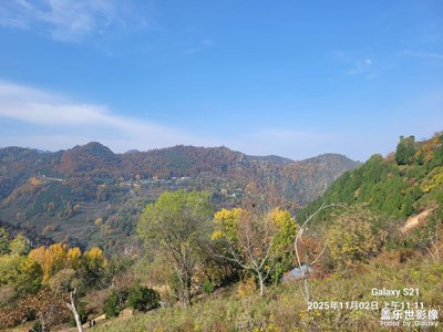 【光影贺新】+马年吉祥