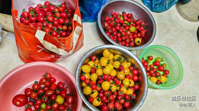【春节趣事分享】熬番茄酱