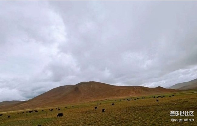 【春节去哪儿】美丽西藏