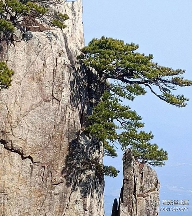 【春节趣事分享】黄山风光