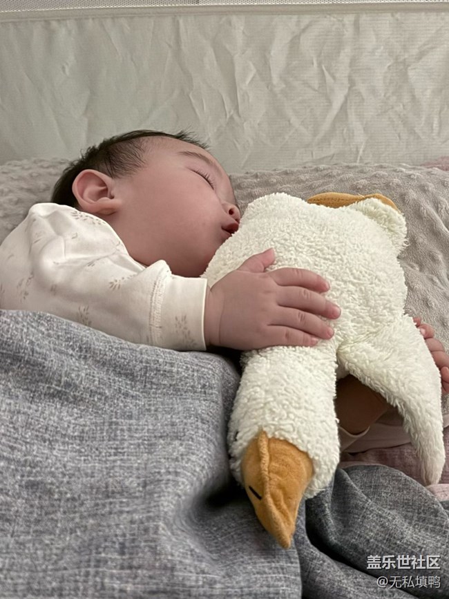 【春节趣事分享】玩偶