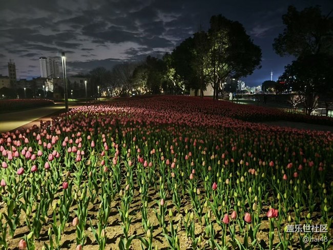 【春节去哪儿】家乡夜景