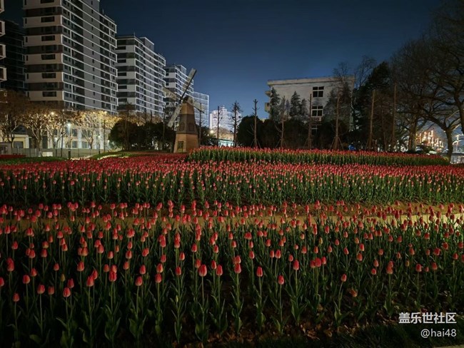【春节去哪儿】家乡夜景