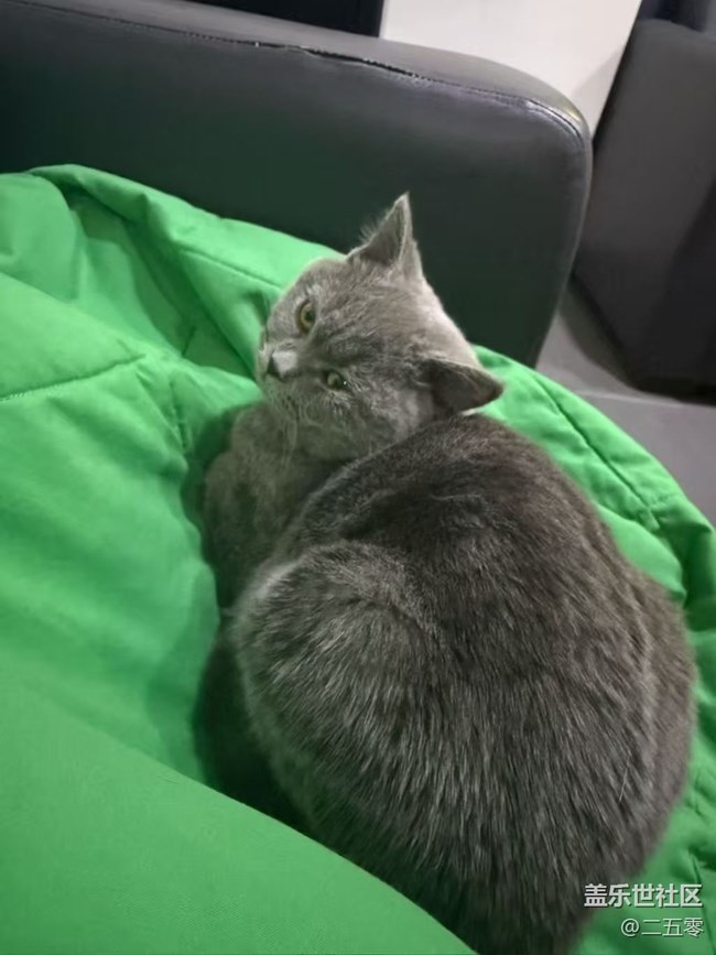 【春节趣事分享】