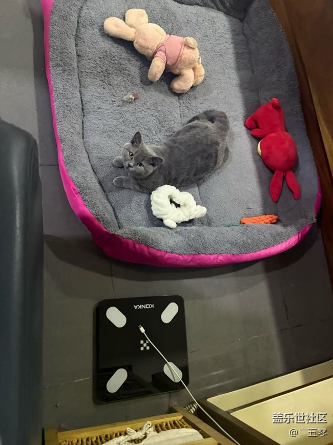 【春节趣事分享】