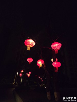 【光影贺新】夜晚的年味