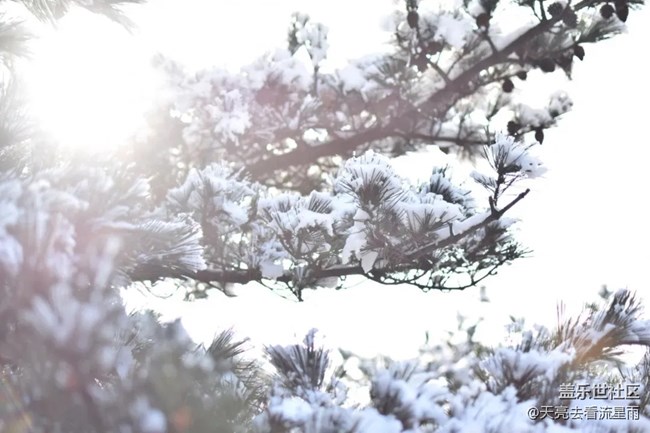 问鼎浙西天目山之药王山（一）