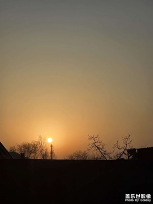 【光影贺新】+马年吉祥