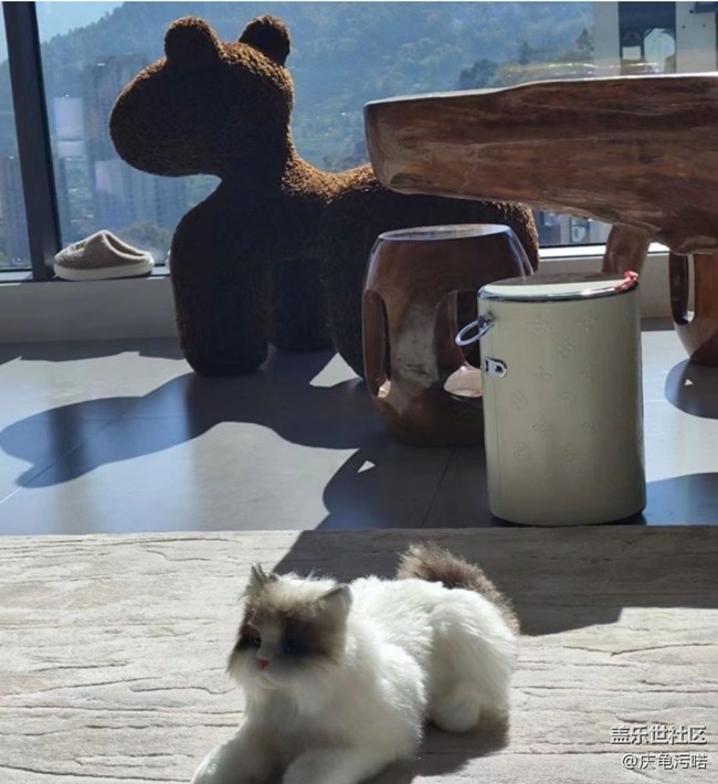 【春节趣事分享】陪伴