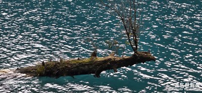 拥有三星手机那就得去九寨沟打卡，不然真是浪费了。