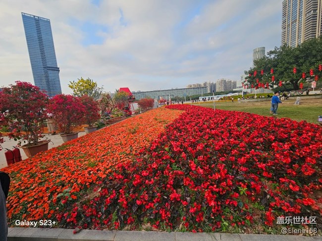 【春节趣事分享】百花齐放迎新年