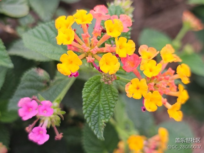 【春节去哪儿】春节随拍