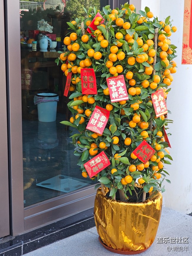 【春节趣事分享】新年新气象