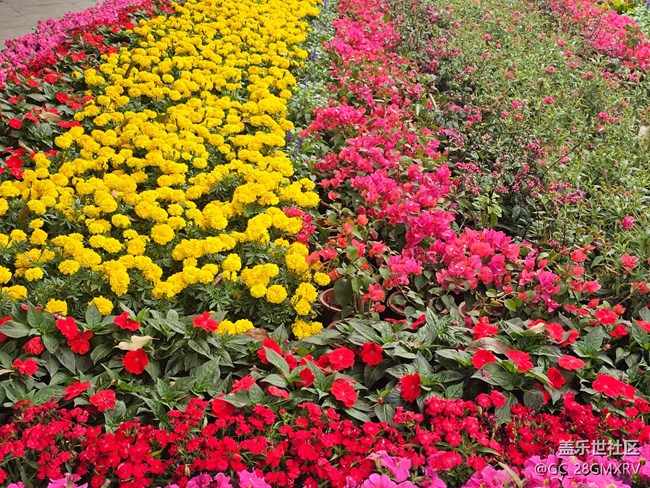 【春节去哪儿】春节随拍