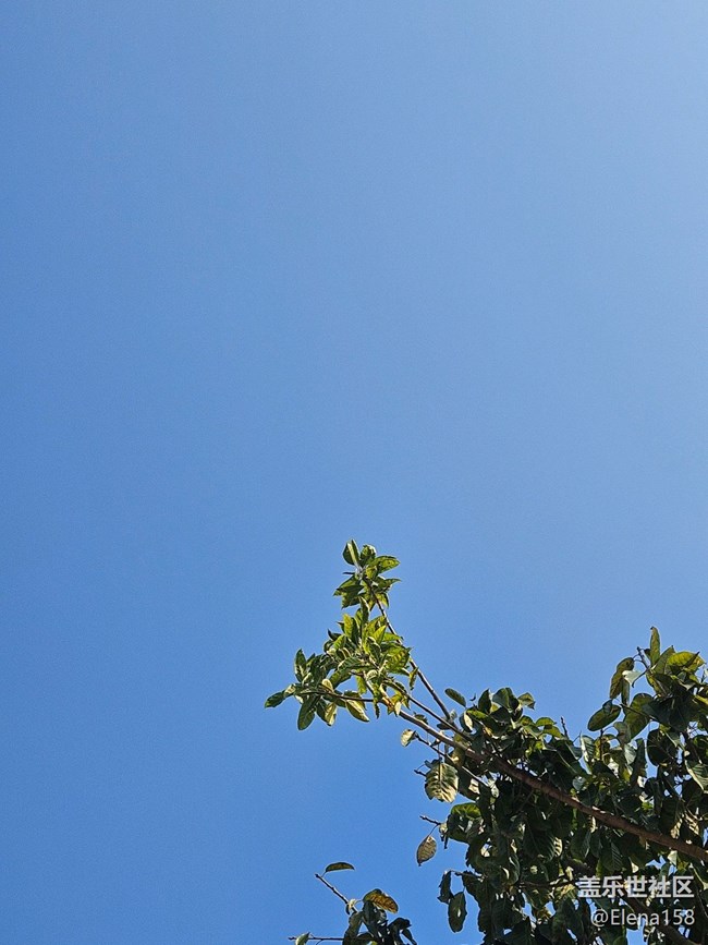 【春节去哪儿】暖阳下的午后