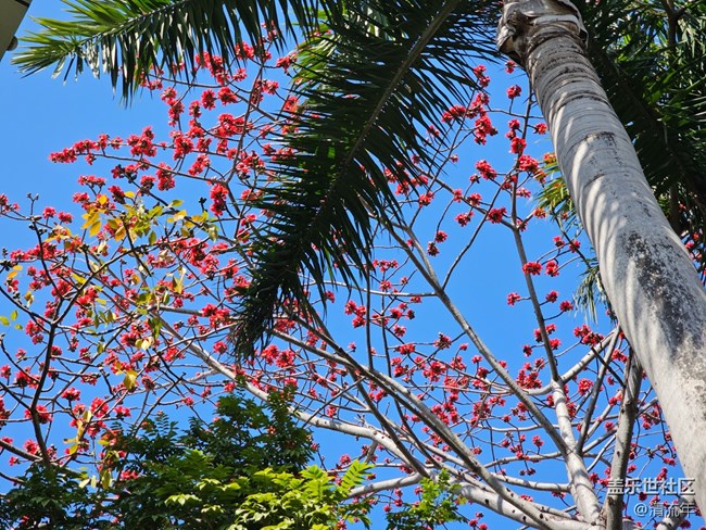 【春节去哪儿】新年随行