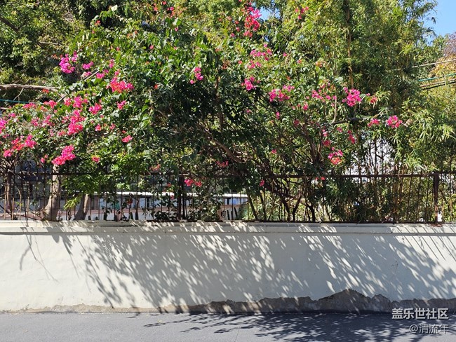 【春节趣事分享】新年新气象