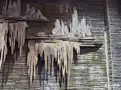 【光影贺新】美学雅致