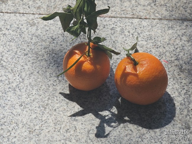 【春节去哪儿】散步