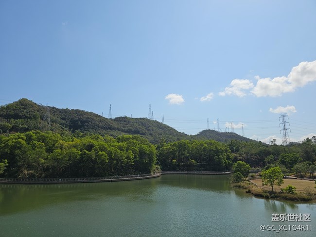 【春节趣事分享】赏花