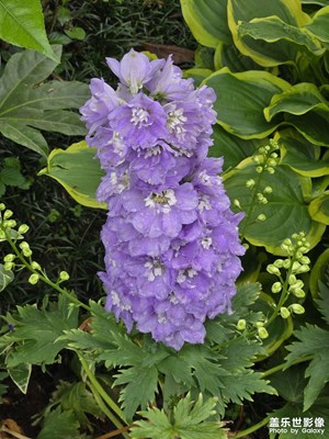 【光影贺新】遇见又一年