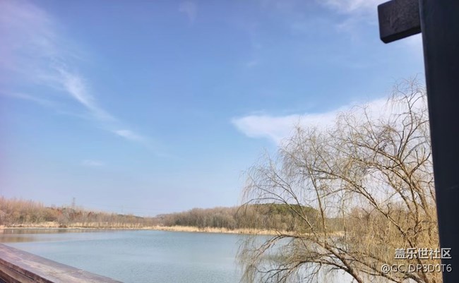 【春节去哪儿】公园散步