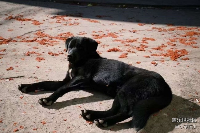 【春节去哪儿】家乡风景