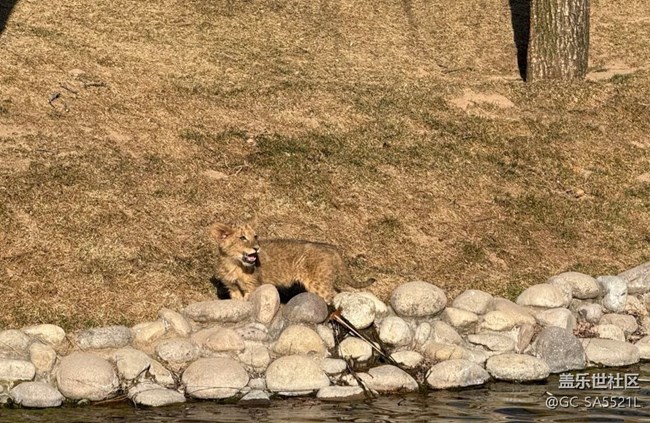 【春节去哪儿】动物园