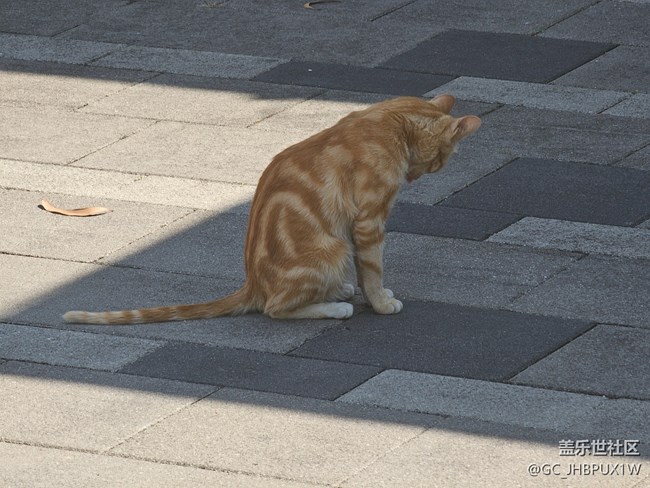 【春节去哪儿】散步