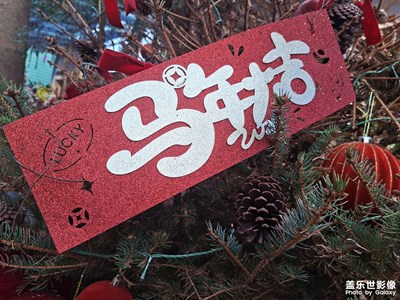 【光影贺新】策马奔富