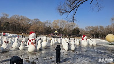 【光影贺新】新年里的公园