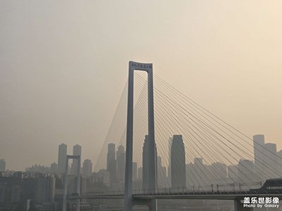 【光影贺新】温柔与奔赴