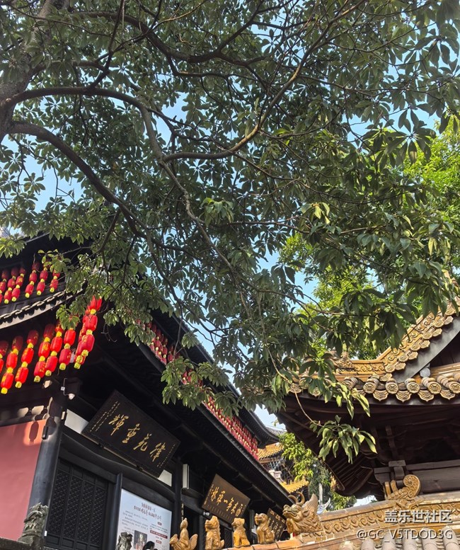 【春节去哪儿】古寺之旅