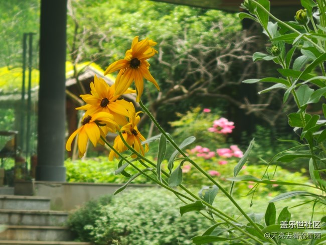 【春醒万物生】春风如画笔