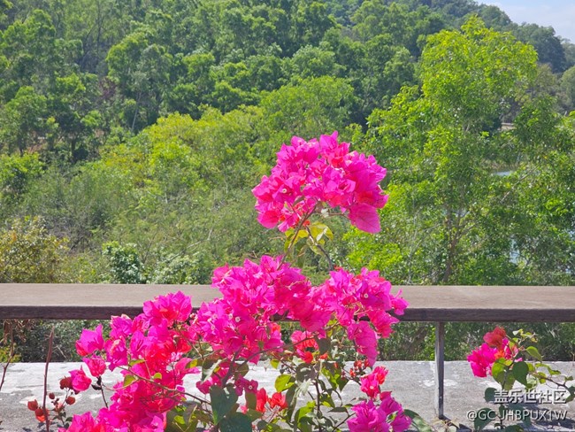 【春节去哪儿】散步