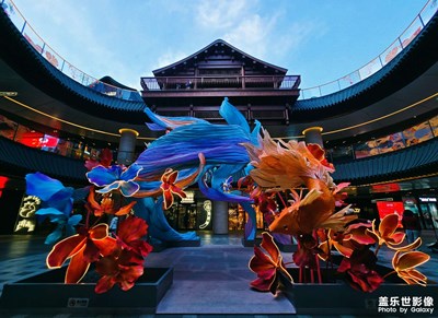 【光影贺新】年年有鱼