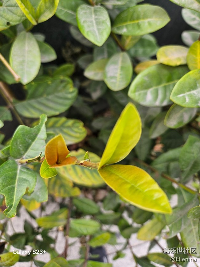 【早春二月】生发的季节