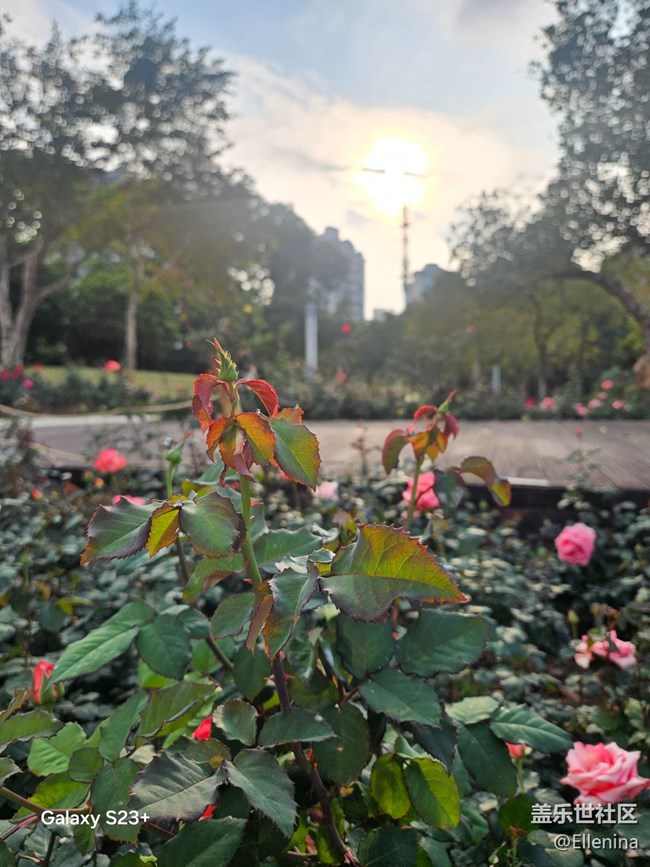 【早春二月】生发的季节