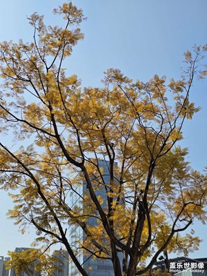 【行摄正月里】+万象城